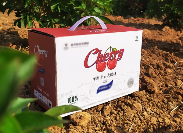 櫻桃、車厘子禮盒